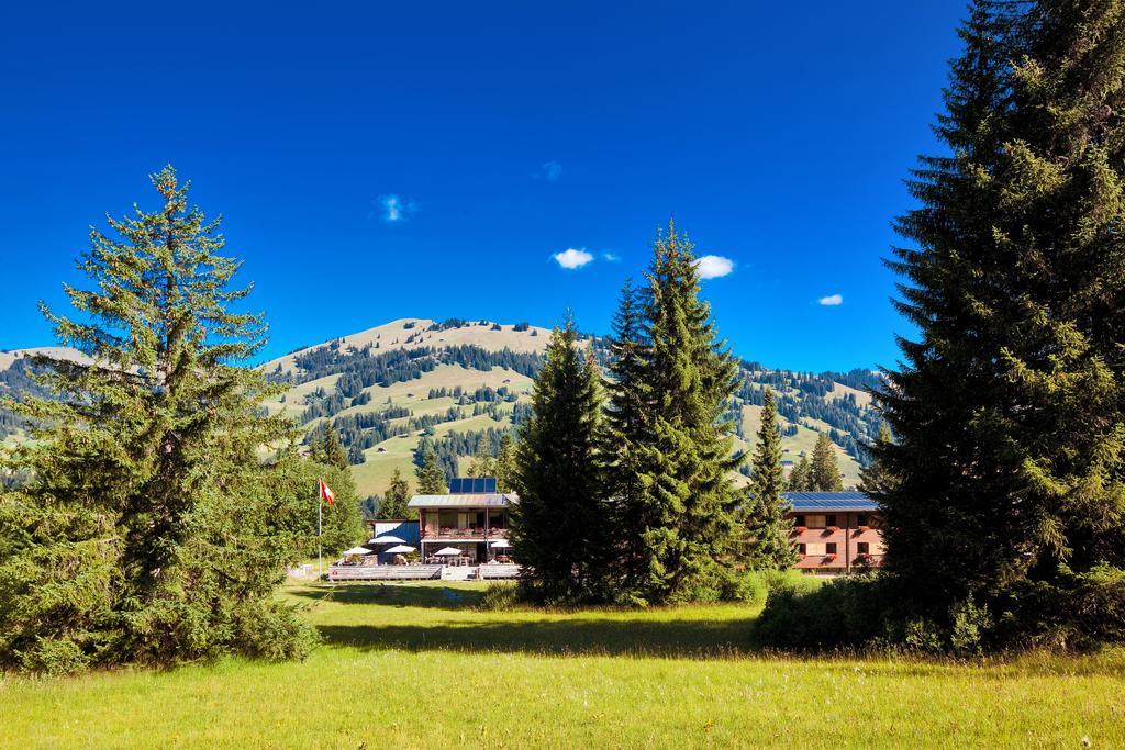 Saanewald Lodge ساننموسر المظهر الخارجي الصورة