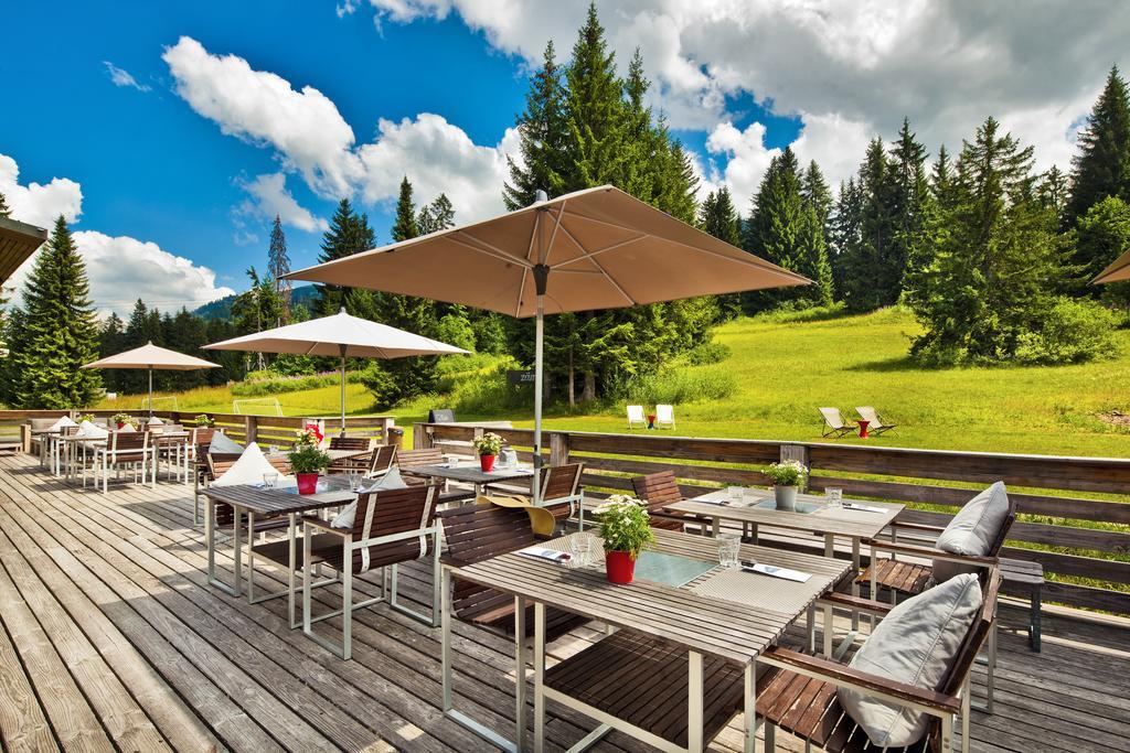 Saanewald Lodge ساننموسر المظهر الخارجي الصورة