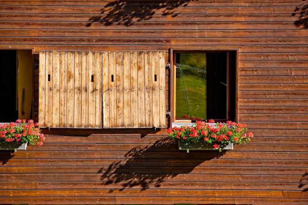Saanewald Lodge ساننموسر المظهر الخارجي الصورة