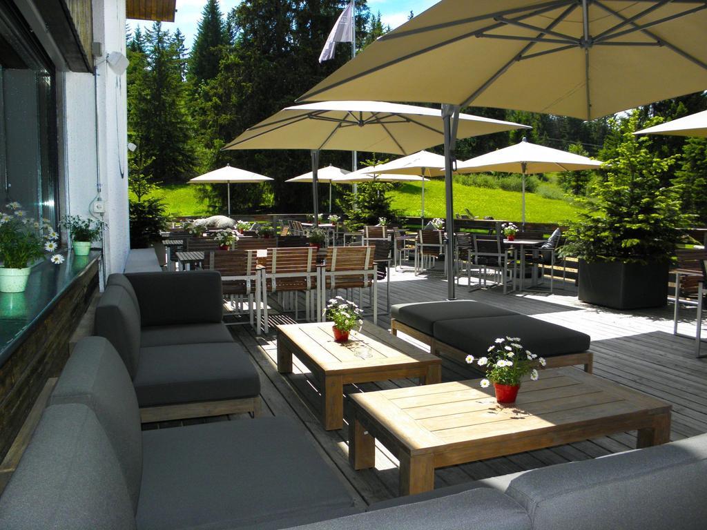 Saanewald Lodge ساننموسر المظهر الخارجي الصورة